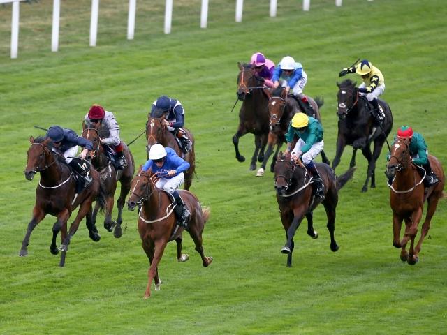 We're racing at Ascot this afternoon along with five other race meetings